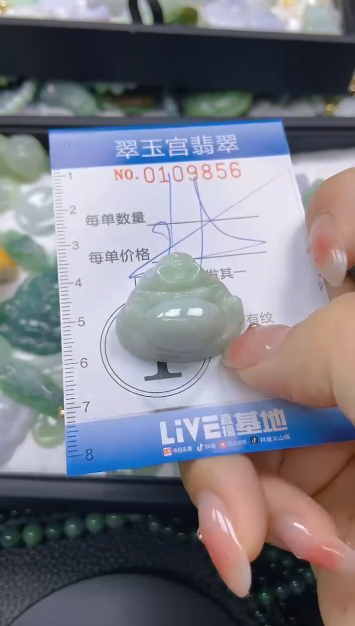 翡翠未镶嵌颈饰闪购0109856