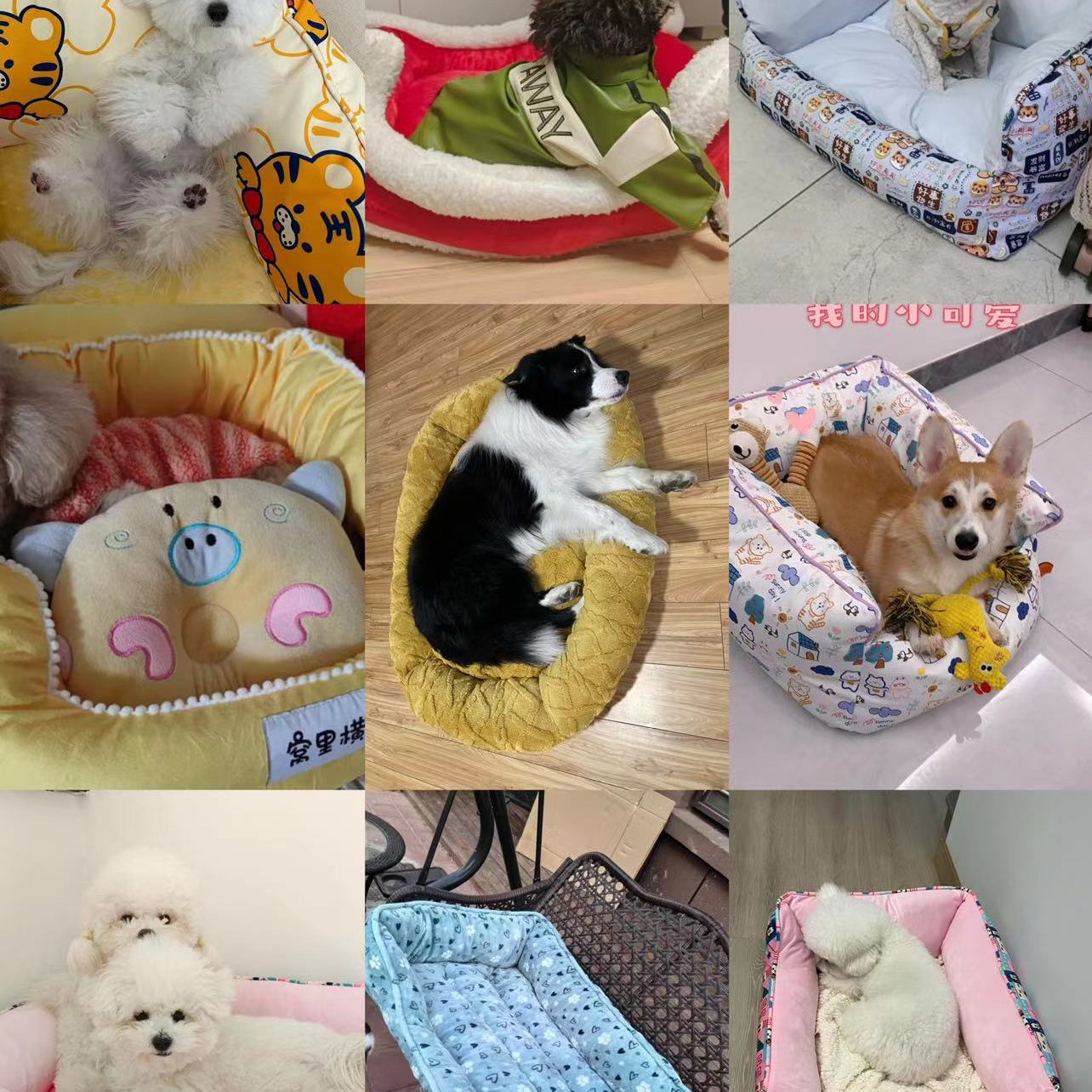 【孤品】M061-M090孤品捡漏猫窝狗窝尾单按编号拍拍错不负责