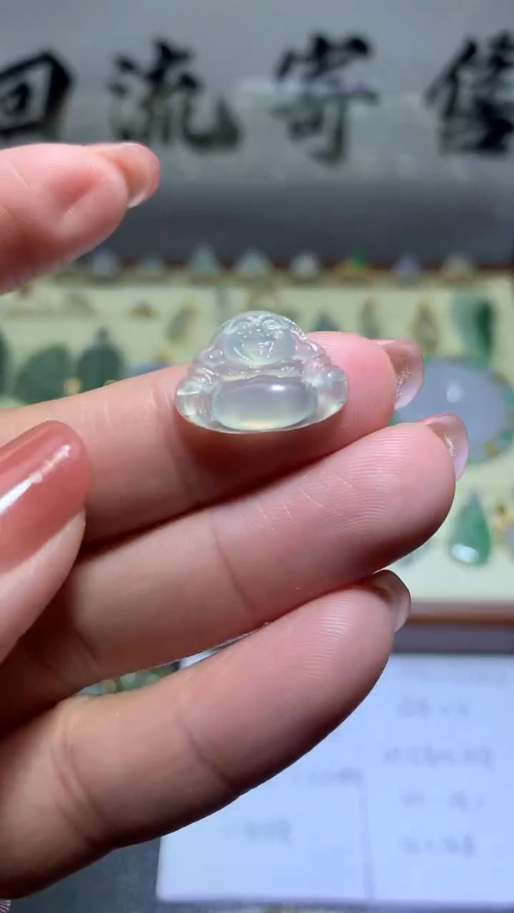 【闪购商品】翡翠颈饰未镶嵌0101天然翡翠缅甸A货