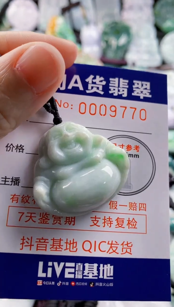 翡翠未镶嵌吊坠(不含链)1