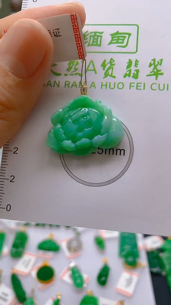 【闪购商品】翡翠颈饰18K金镶嵌 新号开播，全场乱卖