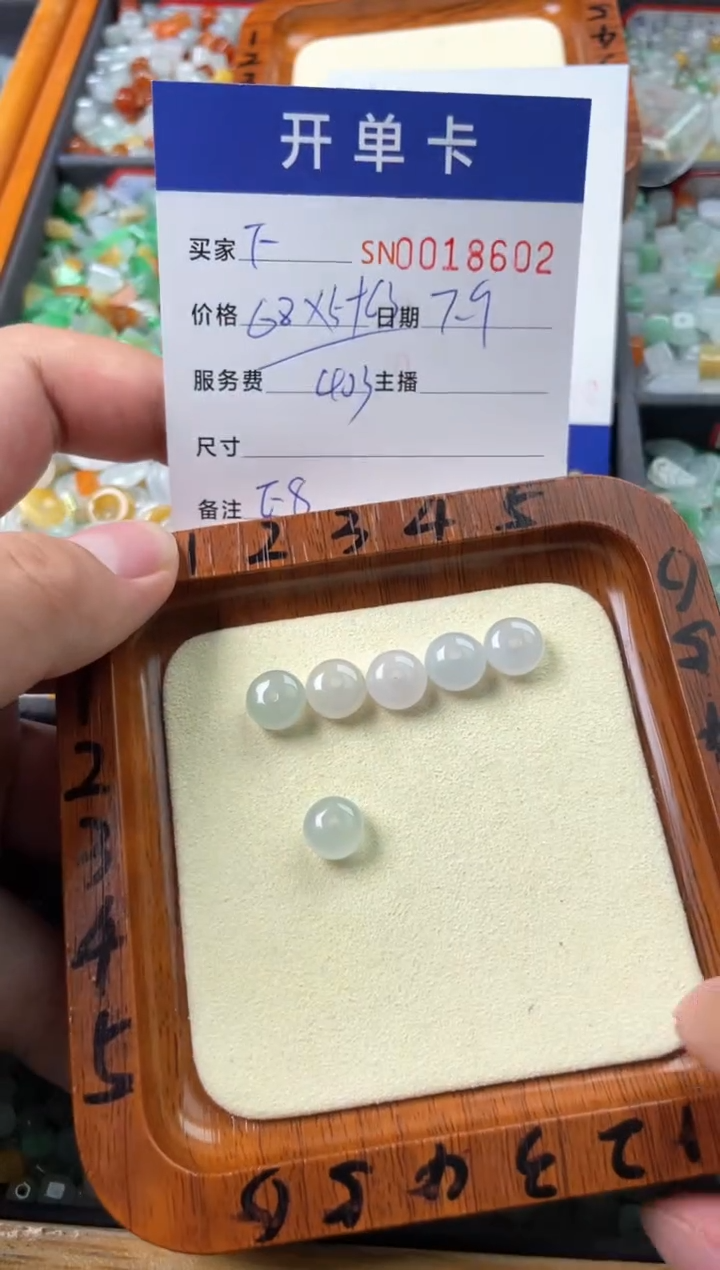 翡翠未镶嵌颈饰✨*00018602