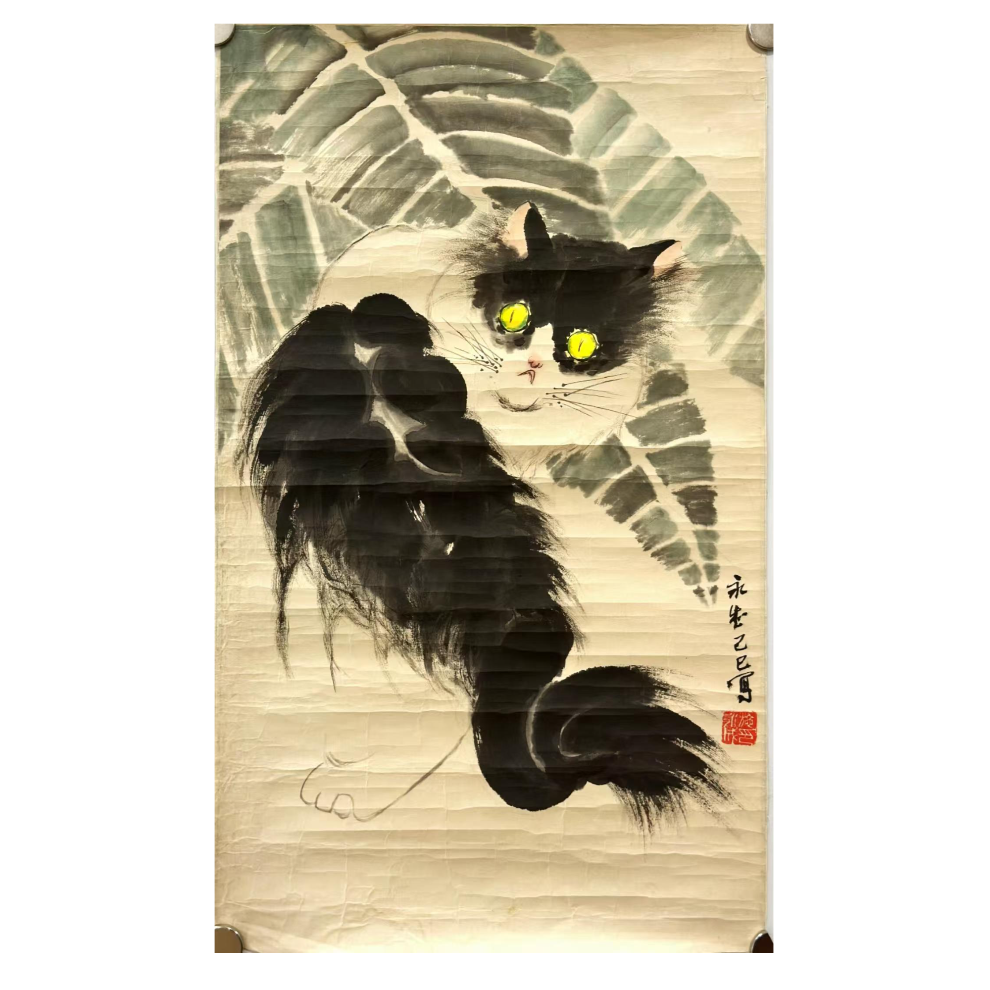 lot4 施永成 猫 镜片