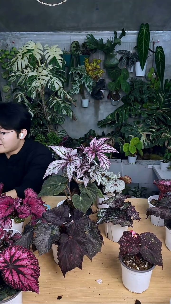 完全开放超新星（脆皮新手误入）