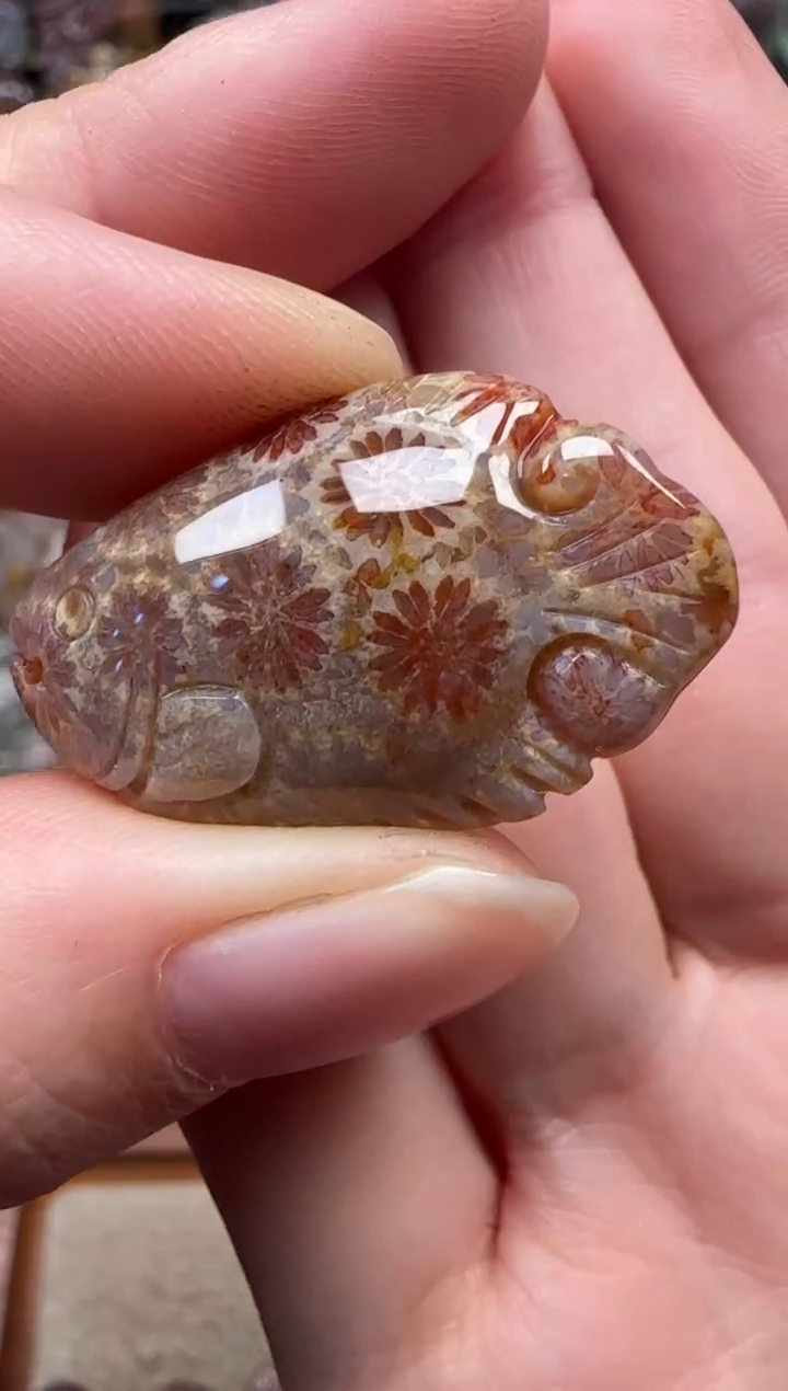 颈饰未镶嵌硅化珊瑚（珊瑚玉）578