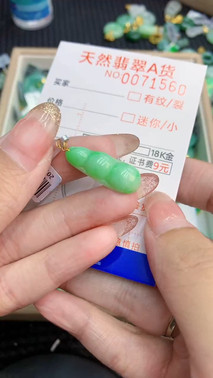 翡翠18K金镶嵌颈饰             8