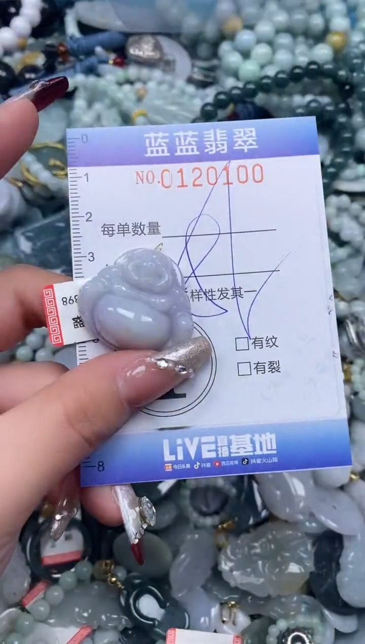 【闪购商品】翡翠颈饰未镶嵌闪购0120100