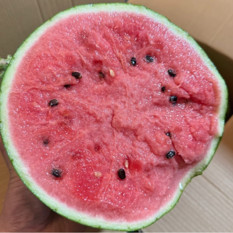 现摘现发-【俺家的西瓜好吃】斤新鲜安徽省