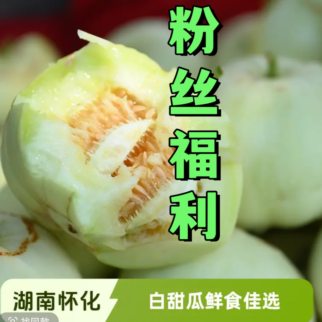 [粉丝福利]溆浦本地甜瓜-应季水果新鲜采摘