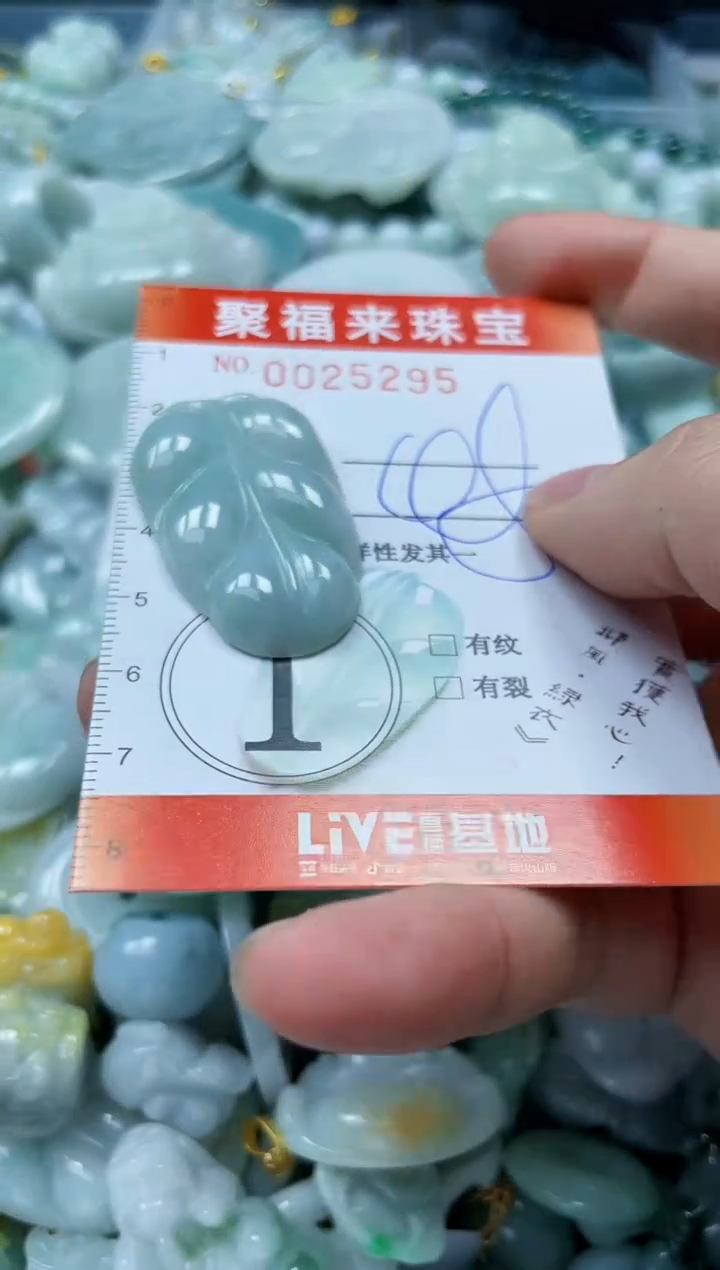 【闪购商品】翡翠颈饰未镶嵌闪购0025295