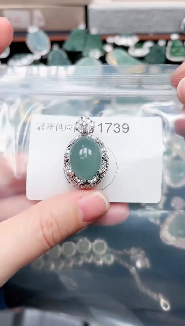 【闪购商品】翡翠颈饰未镶嵌1739赠皮绳
