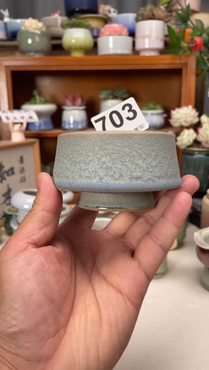 瓷片703知木花盆小芳