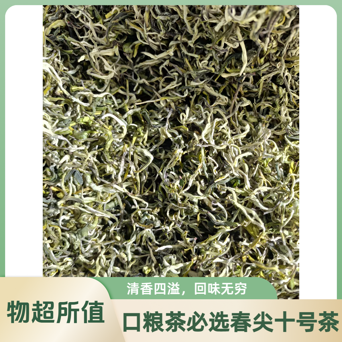 【普洱十号银丝绿茶】2025云南春尖绿茶芽叶完整浓香耐泡（煮泡均可）