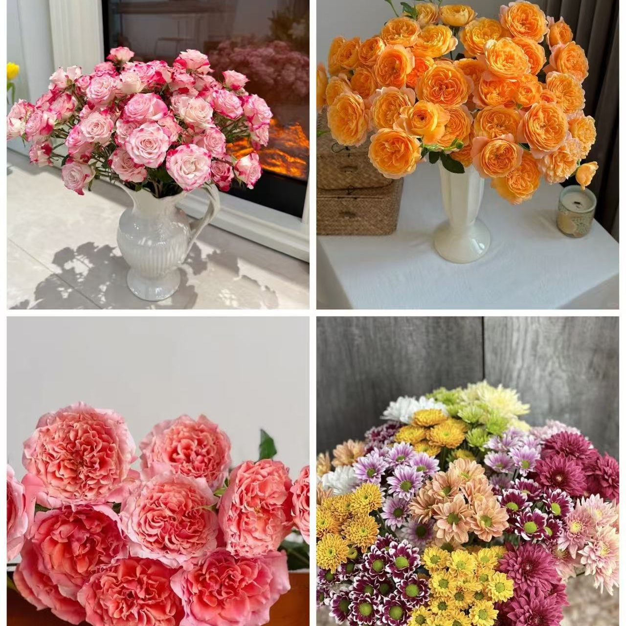 5支混色小菊花➕5支折射➕5只粉色拉拉队➕5只果汁洋台89.9】辽宁今天拍明天到，任意2单花花顺丰包邮