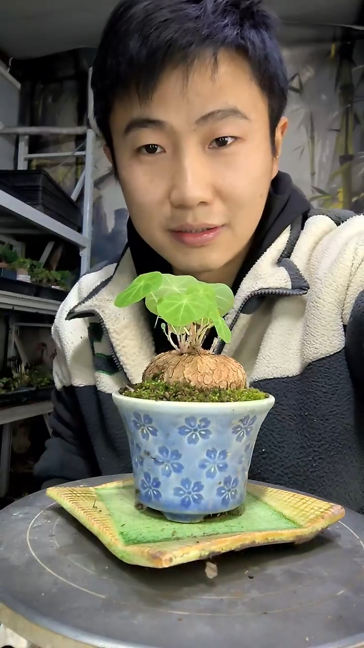 7****7中青园艺一物一拍花167