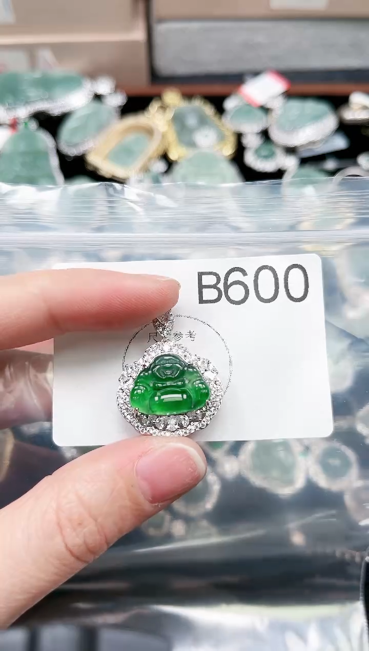 【闪购商品】翡翠颈饰未镶嵌600赠皮绳