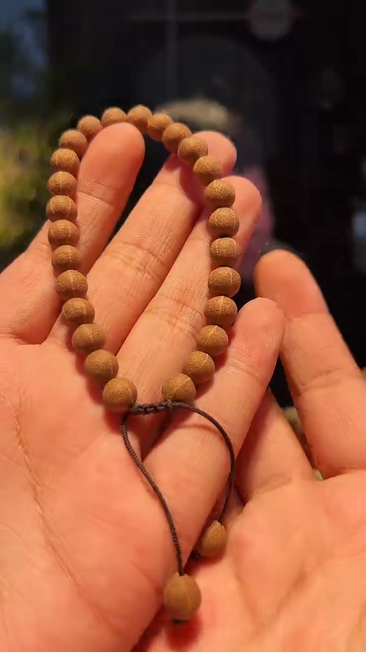 【闪购商品】五线菩提手串9+单圈-红皮金