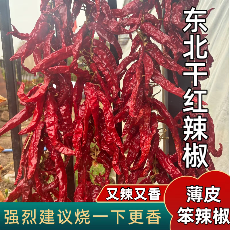 东北干红辣椒手工挑选薄皮红辣椒干辣椒段
