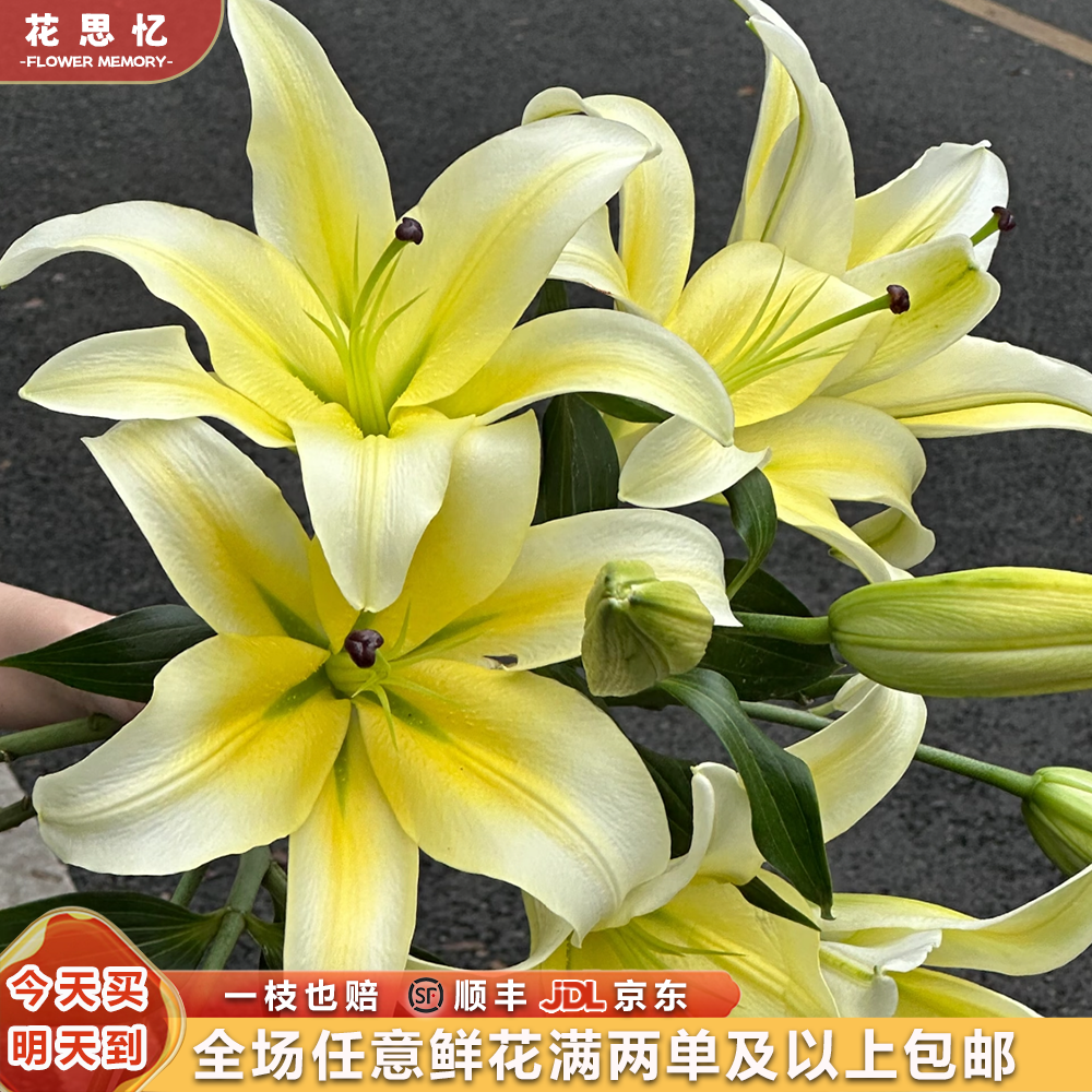 『黄百合8-9朵』 云南鲜切花 满两单鲜花顺丰京东送货上门 满三单鲜花送花瓶 鲜花直播次日达