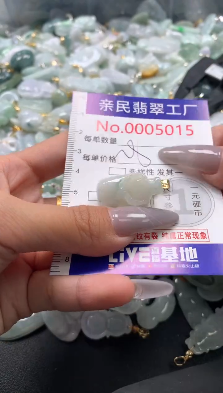 颈饰未镶嵌翡翠5015