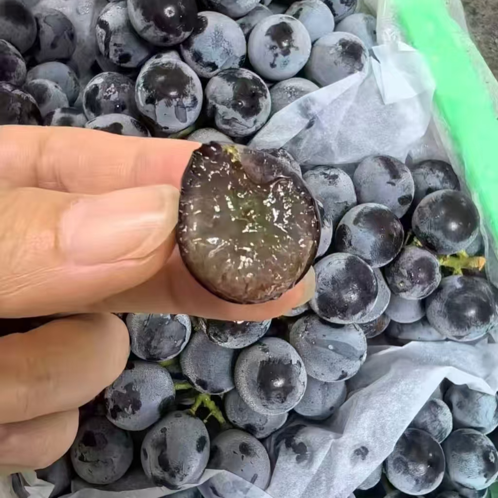 【蓝莓葡萄礼盒】一箱三斤左右，个别掉果正常天津市