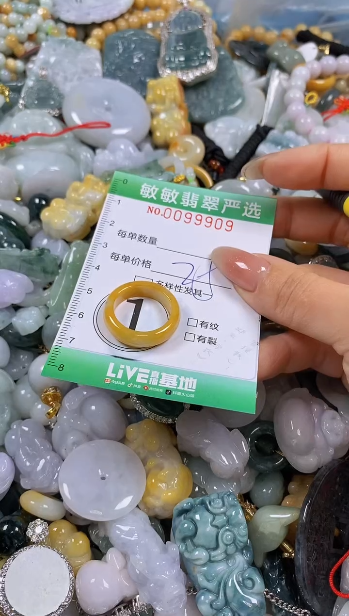 【闪购商品】翡翠颈饰未镶嵌闪购0099909