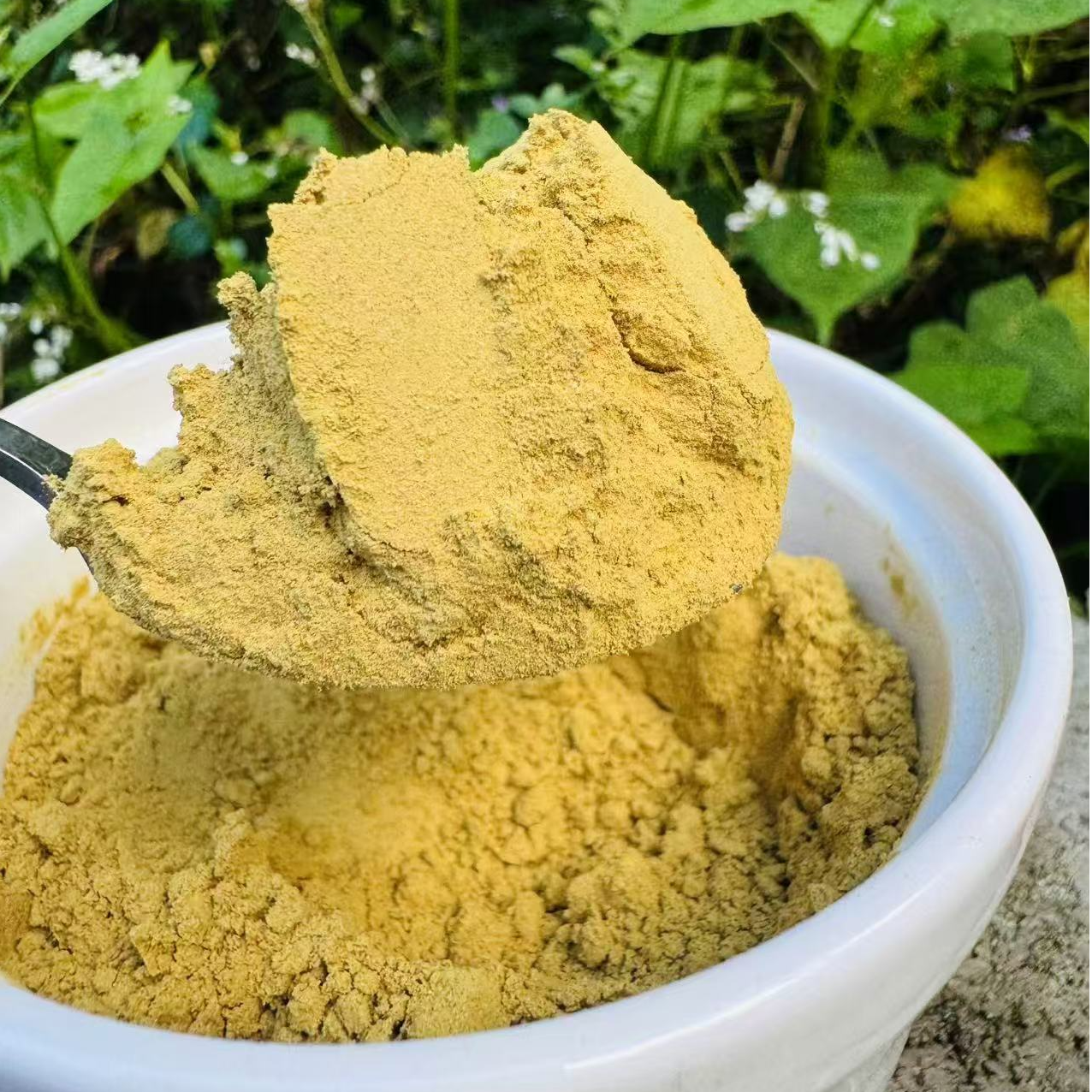 1【缅-金-粉】净含量20g-200g【阿虎现收】菌