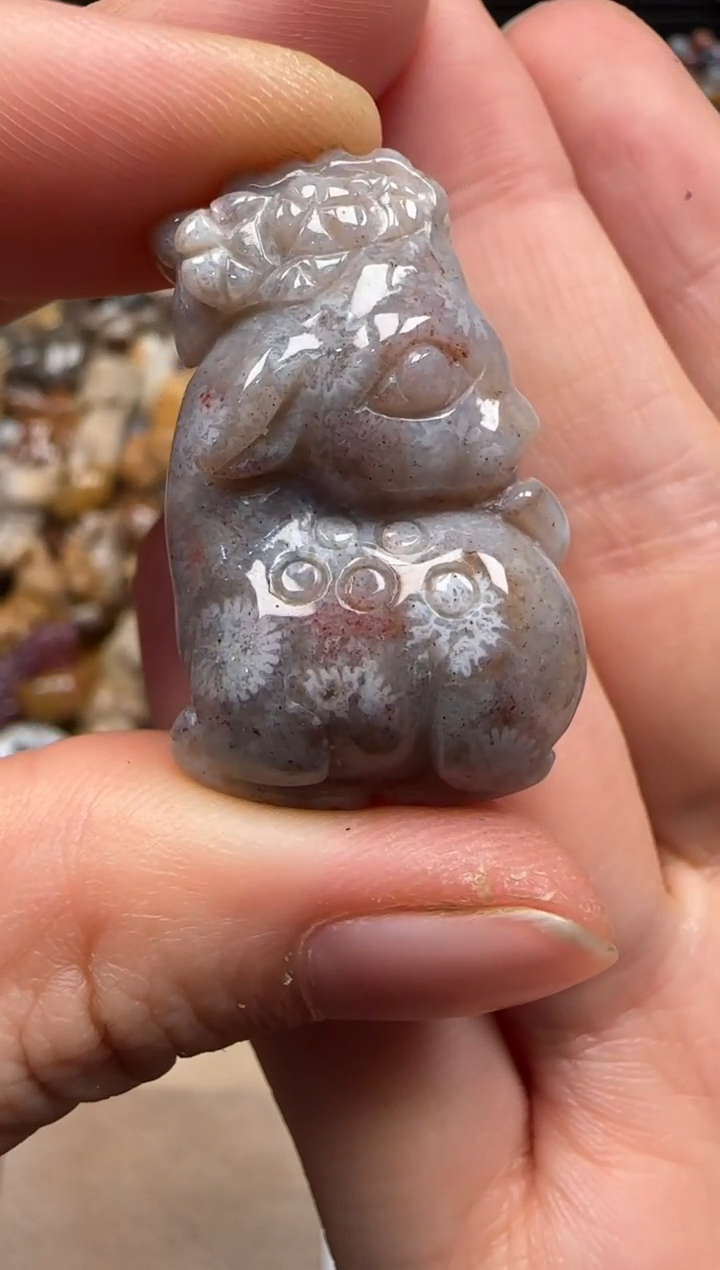 【闪购商品】硅化珊瑚（珊瑚玉）颈饰未镶嵌698