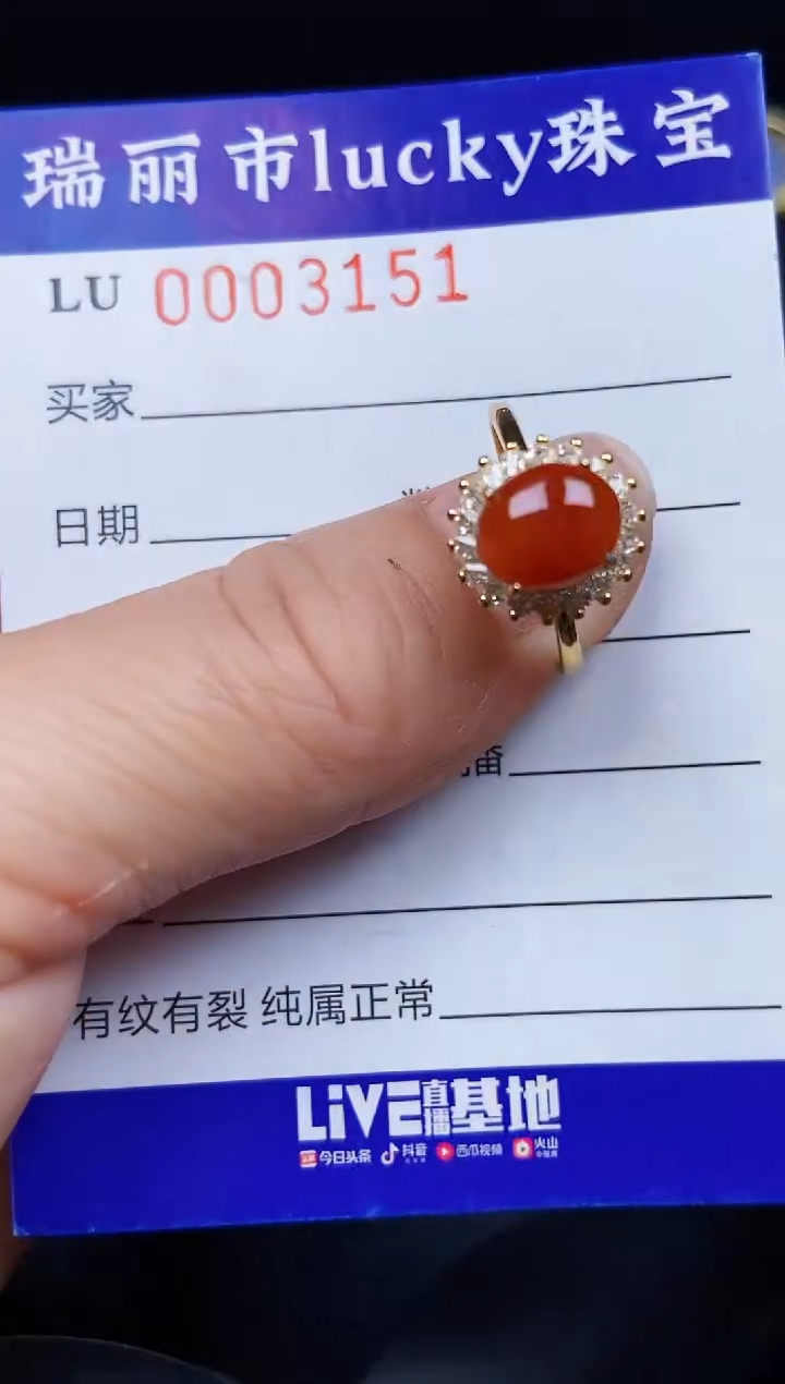 翡翠银S925镶嵌颈饰3151