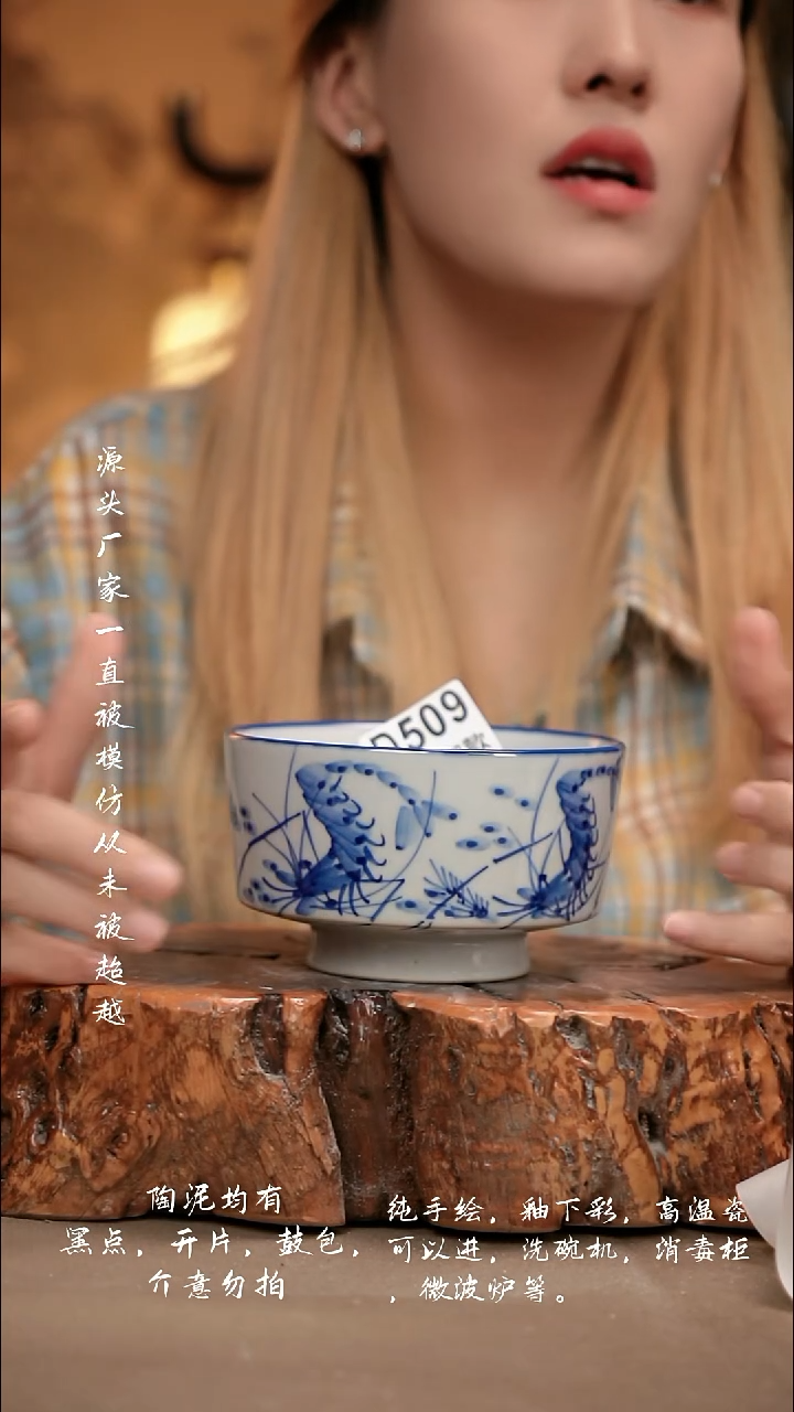 D509新十二器瓷器