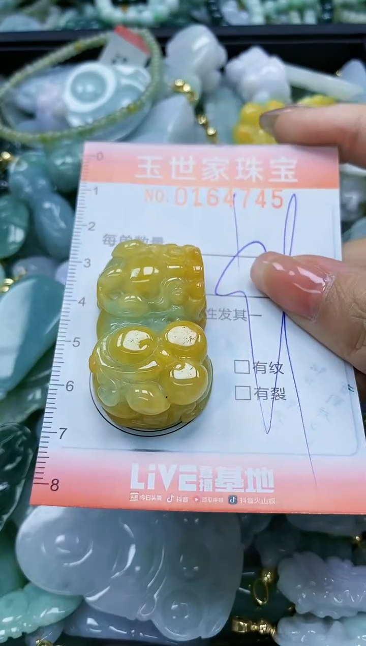 【闪购商品】翡翠颈饰未镶嵌闪购0164745