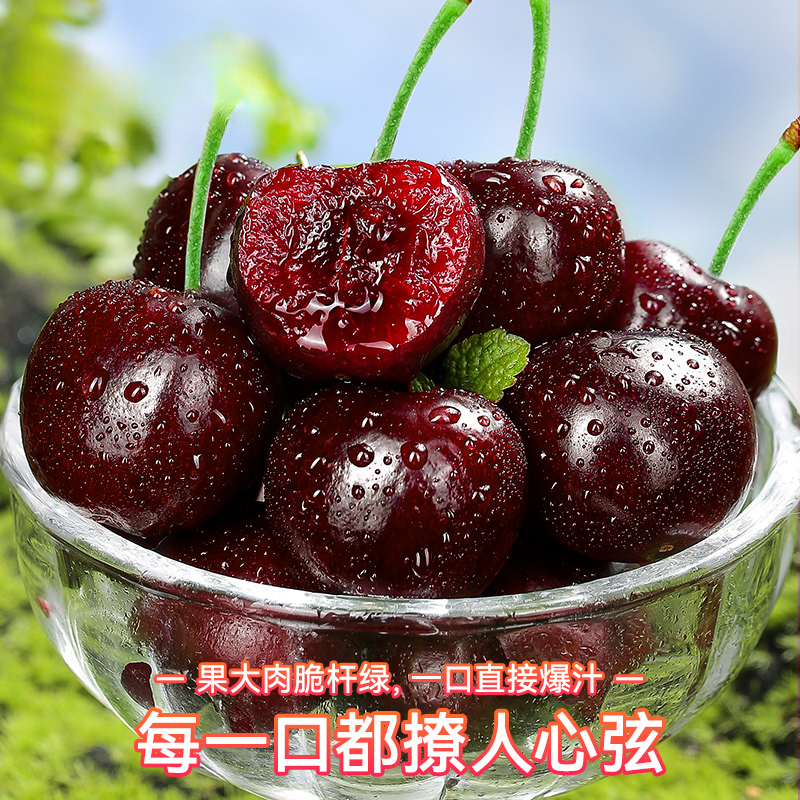 Y【400-800g】智利空运进口车厘子J-4J现货礼盒装樱桃内附果径卡