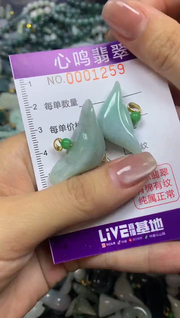 翡翠未镶嵌颈饰闪购001259