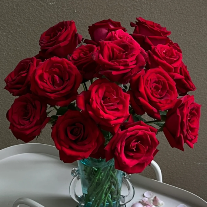 【全场任意两单包邮】卡罗拉玫瑰