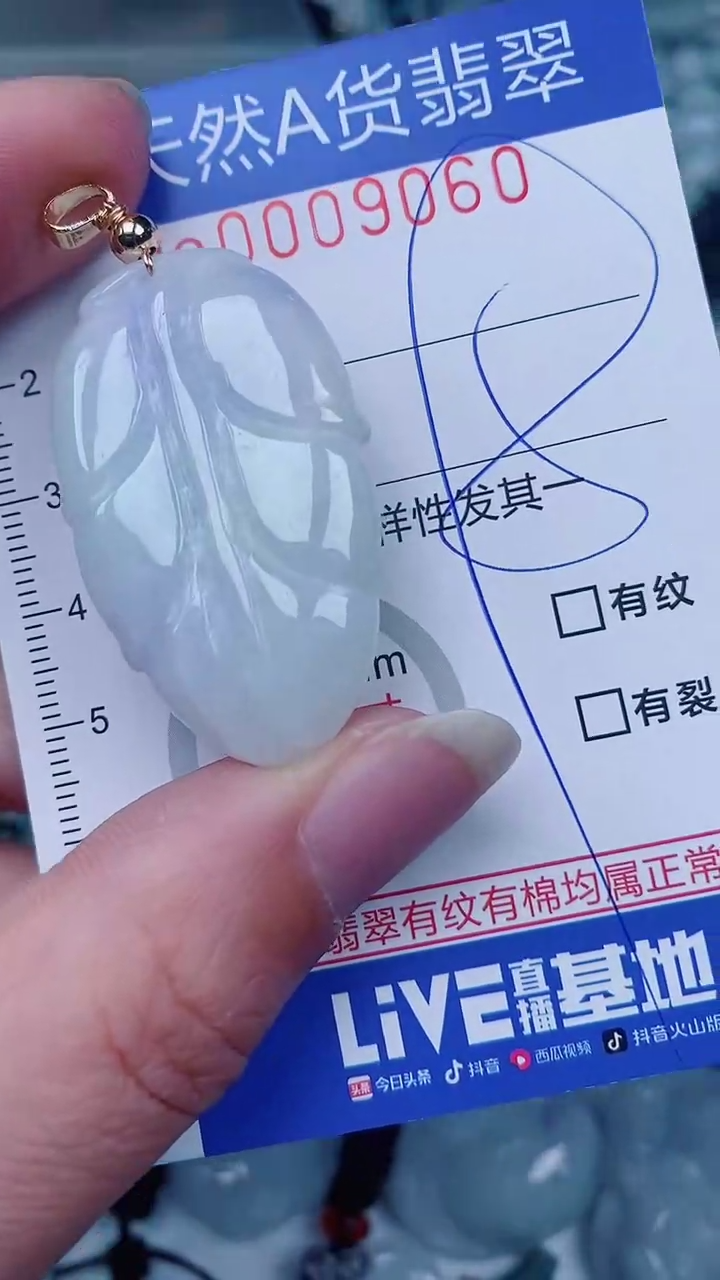 翡翠未镶嵌颈饰00009060