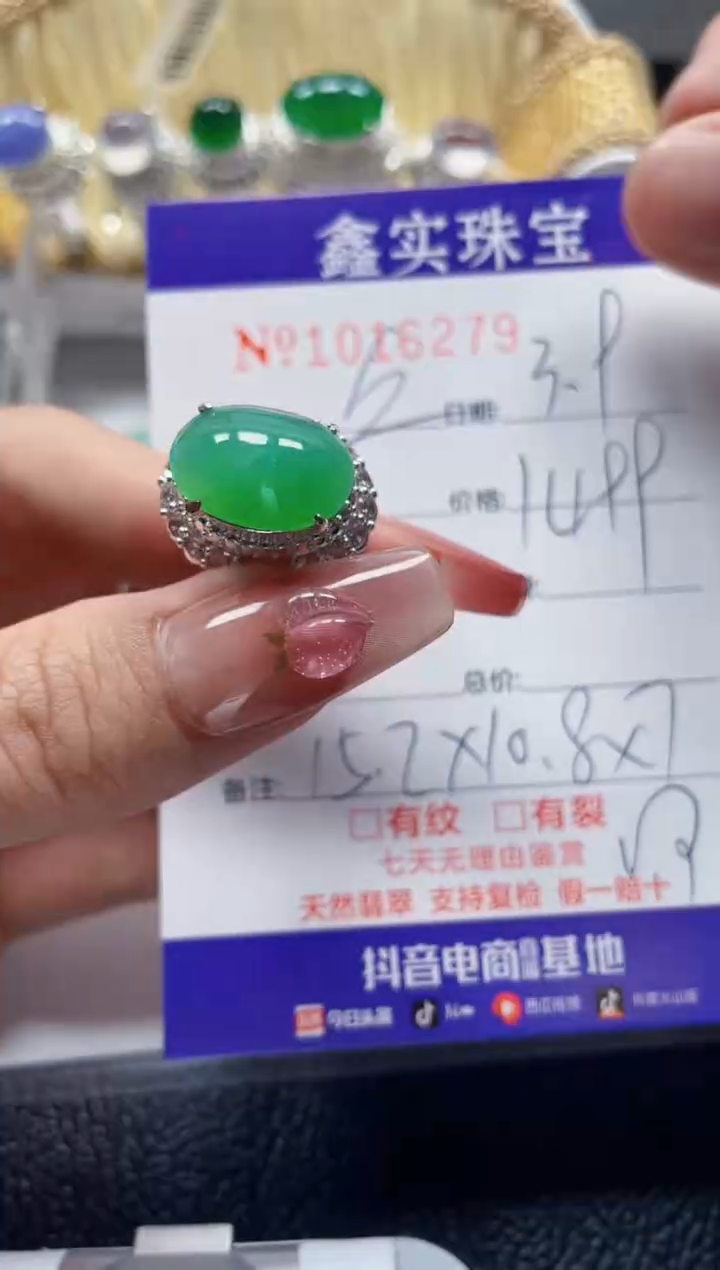 【闪购商品】翡翠颈饰未镶嵌/162790000