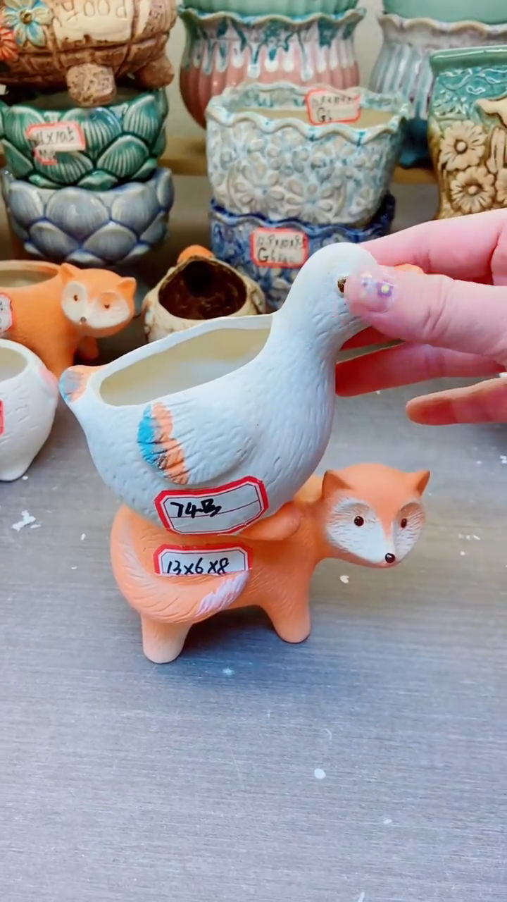 【闪购商品】陶瓷@@74+73