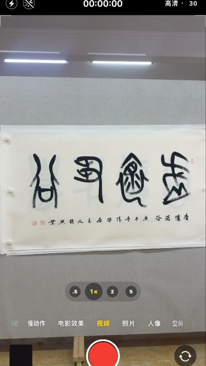 【闪购商品】书法-绘画-赵兴业-八平尺精品书法