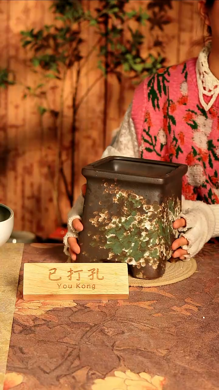 陶6-208高度18口径14已打孔