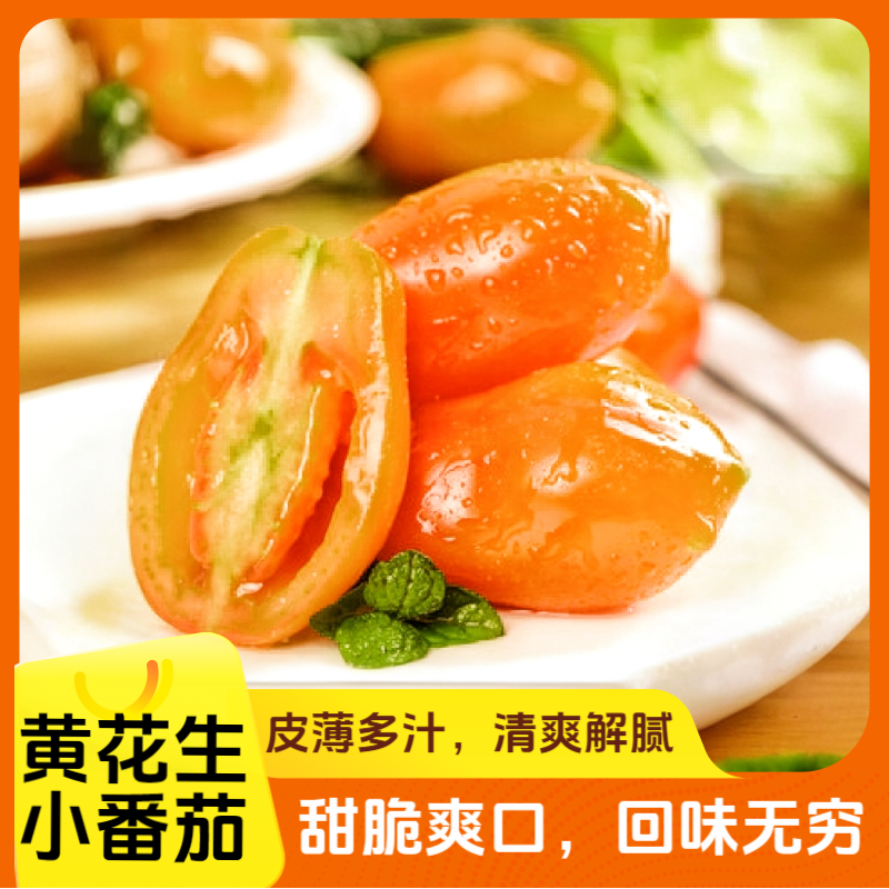【黄花生小番茄】杨小番严选脆甜爽口花生柿子顺丰包邮内蒙古自治区