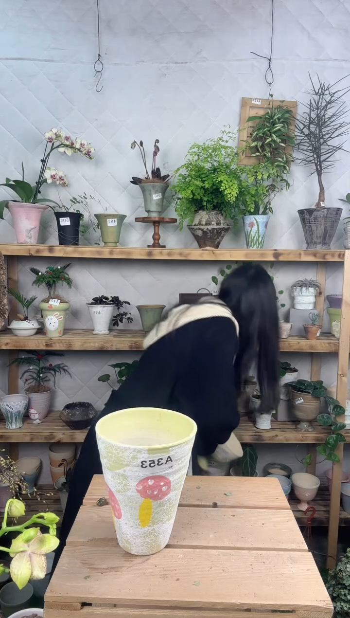 无花朵编号 353  景德镇手工花盆