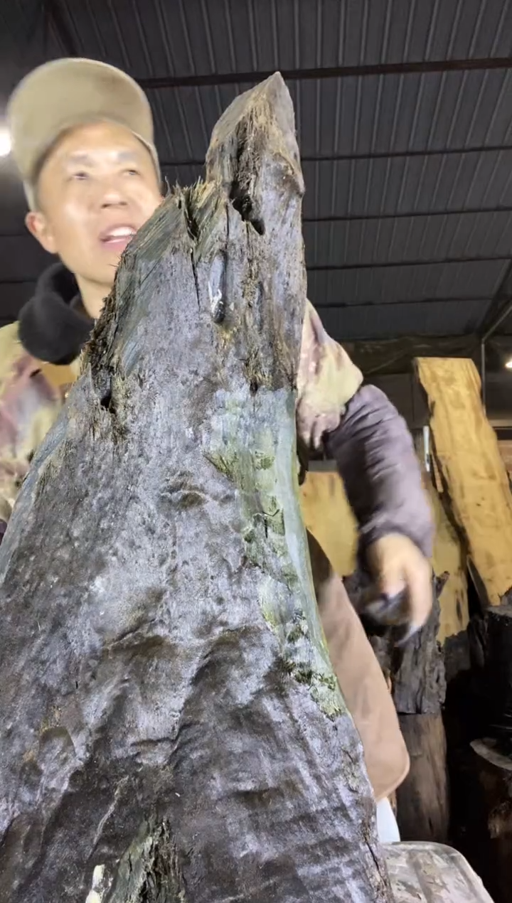 其他楠木（金丝楠）金丝楠小叶桢楠22