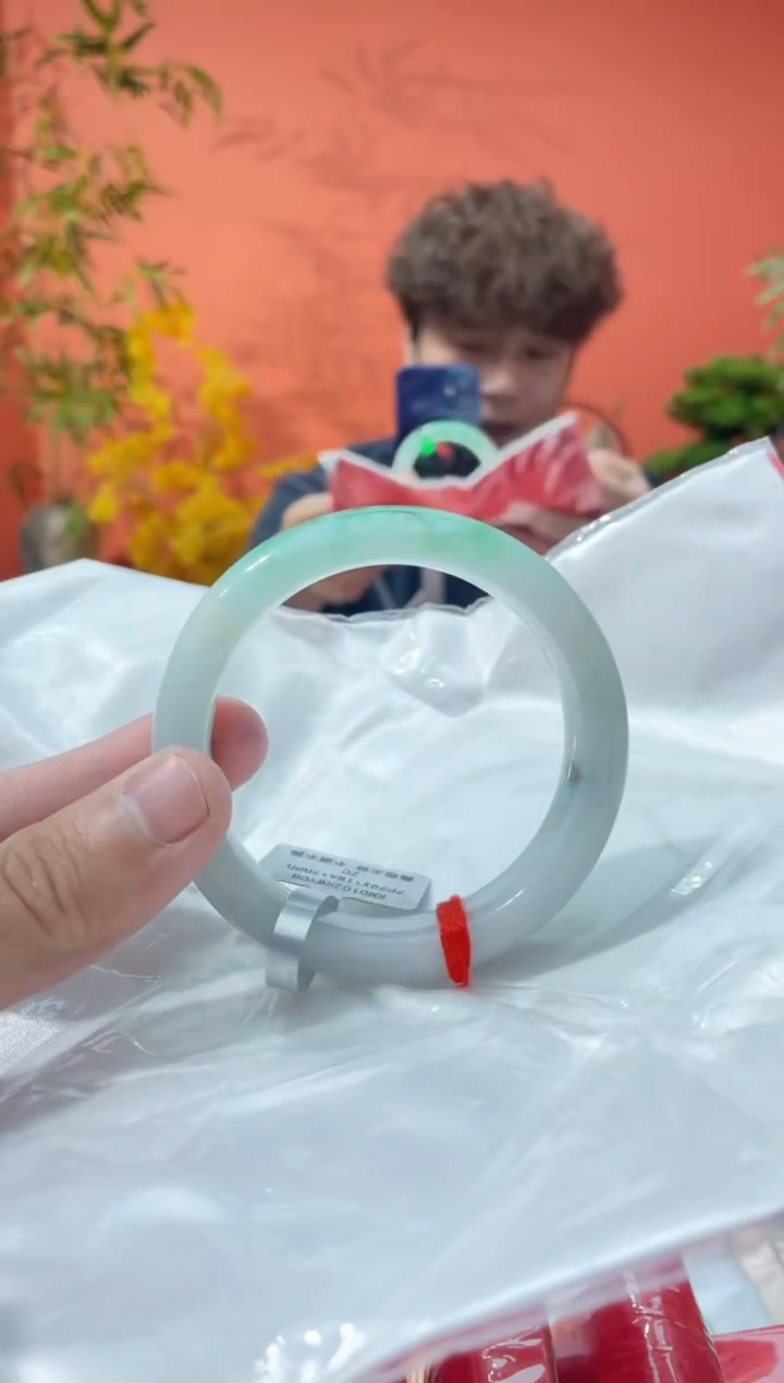 未镶嵌手镯翡翠3