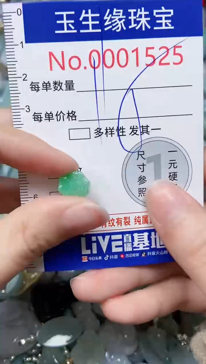 【闪购商品】翡翠颈饰未镶嵌闪购00001525