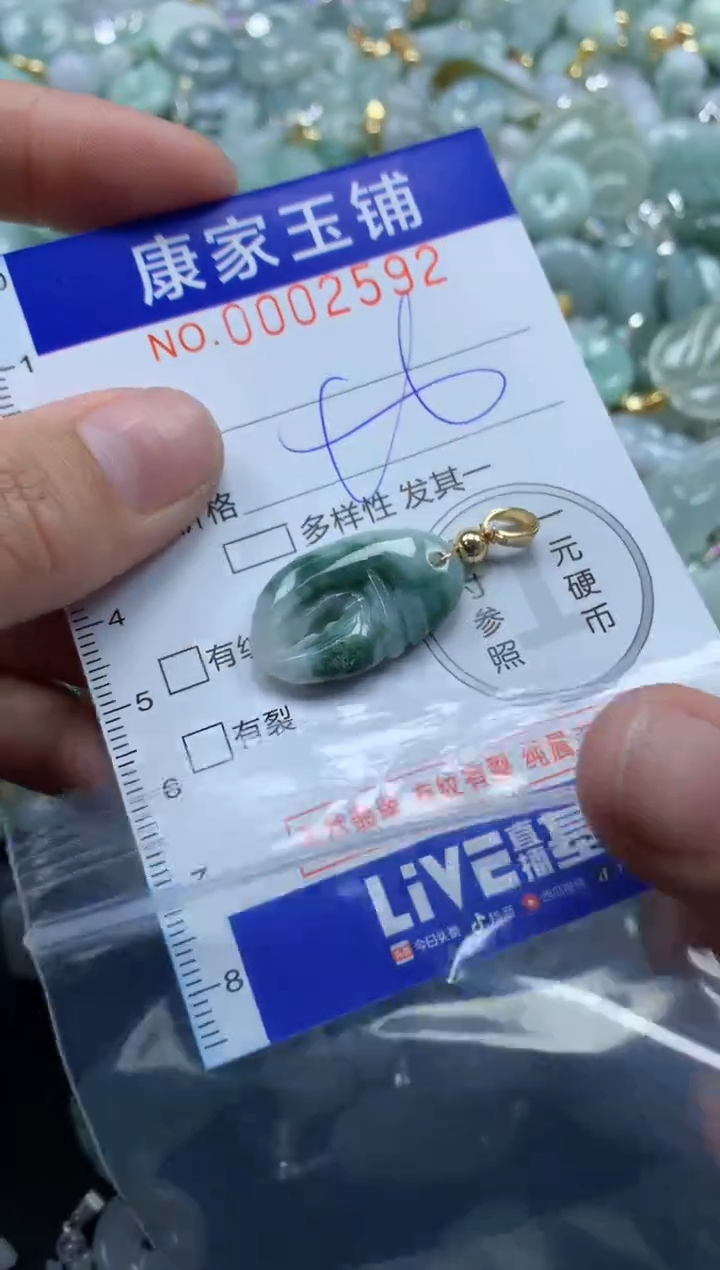 颈饰未镶嵌翡翠2592