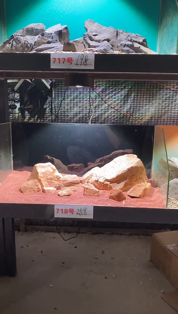 718号鱼缸造景（不含底砂）