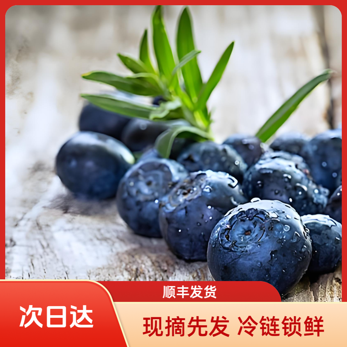 【顺丰次日达】花香蓝莓现摘现发 脆甜爆汁新鲜大果江苏省