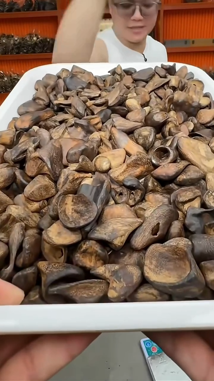 沉香吊坠164号沉水舍利子30g多样性发一