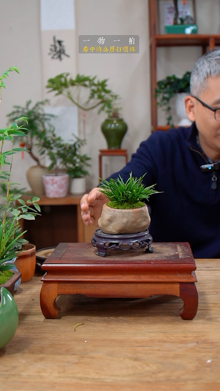 完全开放不**化菖蒲052