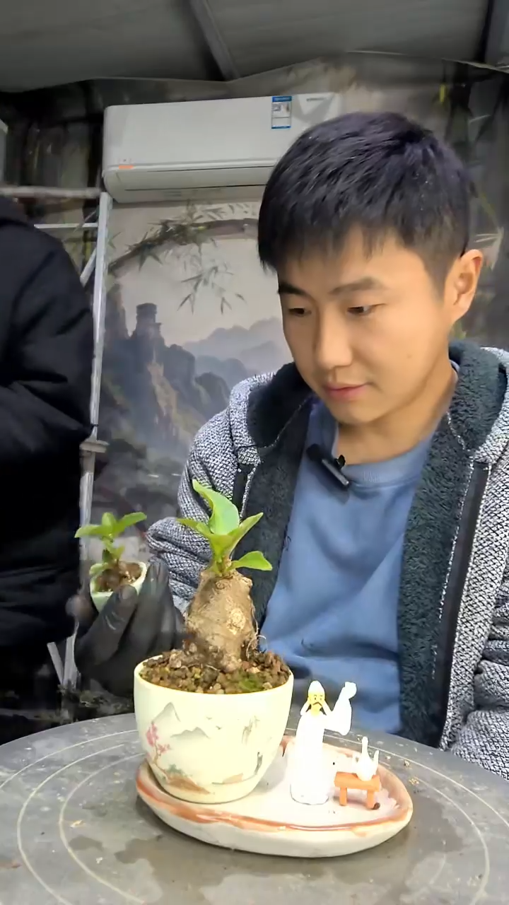 多*?中青园艺一物一拍花274